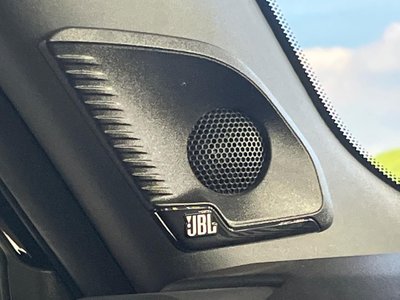 TOYOTA LAND CRUISER 250 - 4