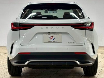 2023 Lexus NX thumbnail 21