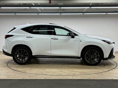 2023 Lexus NX thumbnail 19
