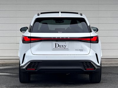 2026 Lexus RX 照片 5