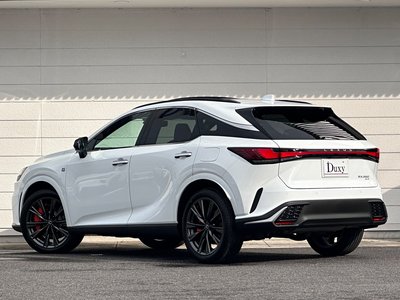 2026 Lexus RX 照片 10