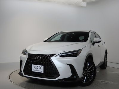 LEXUS NX - 6