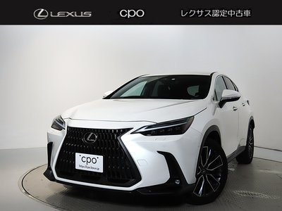 LEXUS NX - 1