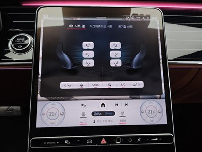 2021 Mercedes-BENZ S-CLASS 缩略图 30