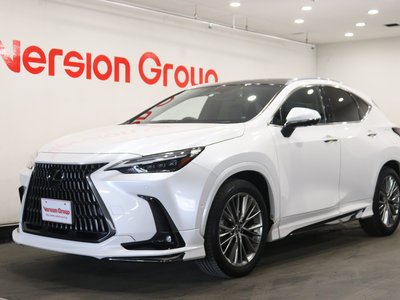 LEXUS NX - 1