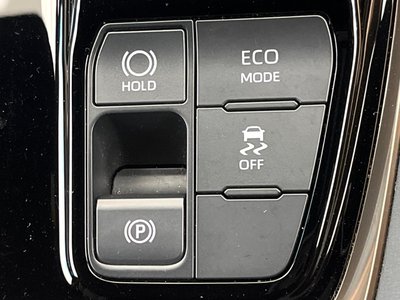 2024 TOYOTA ALPHARD 缩略图 70