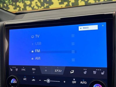 2024 TOYOTA ALPHARD 缩略图 64