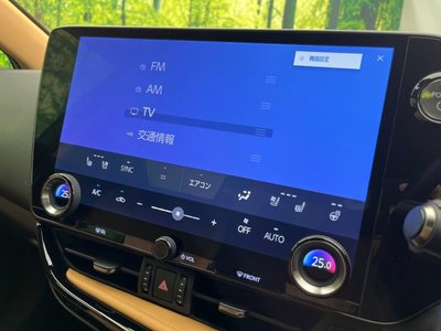 2023 Lexus NX photo 49