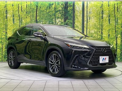 2023 Lexus NX photo 16