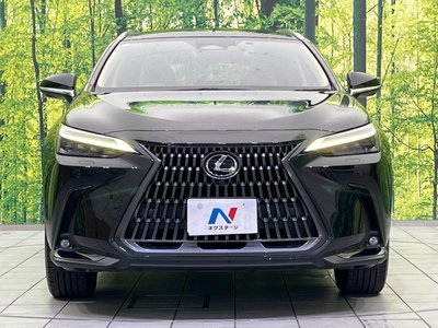 2023 Lexus NX photo 14