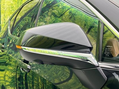 2023 Lexus NX photo 62