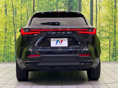 2023 Lexus NX photo 15