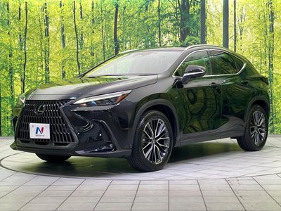 2023 Lexus NX photo 55