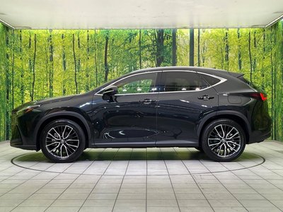 2023 Lexus NX photo 56
