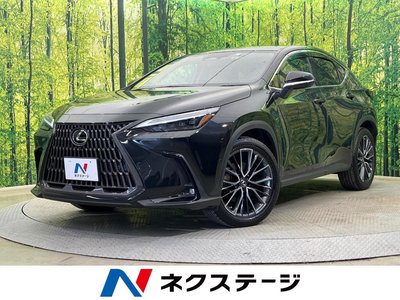 LEXUS NX - 1
