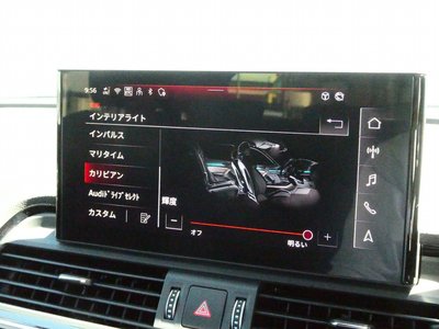 2025 AUDI Q5 SPORTBACK 缩略图 42