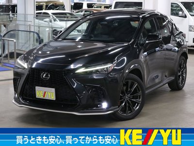 LEXUS NX - 1