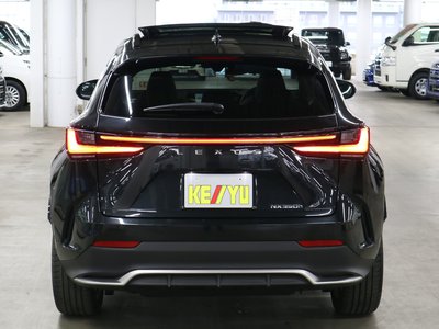 LEXUS NX - 10