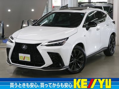 LEXUS NX - 1
