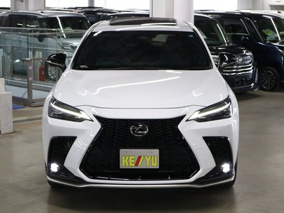 LEXUS NX - 9