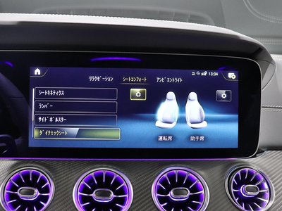 2023 Mercedes-BENZ GT AMG 缩略图 32