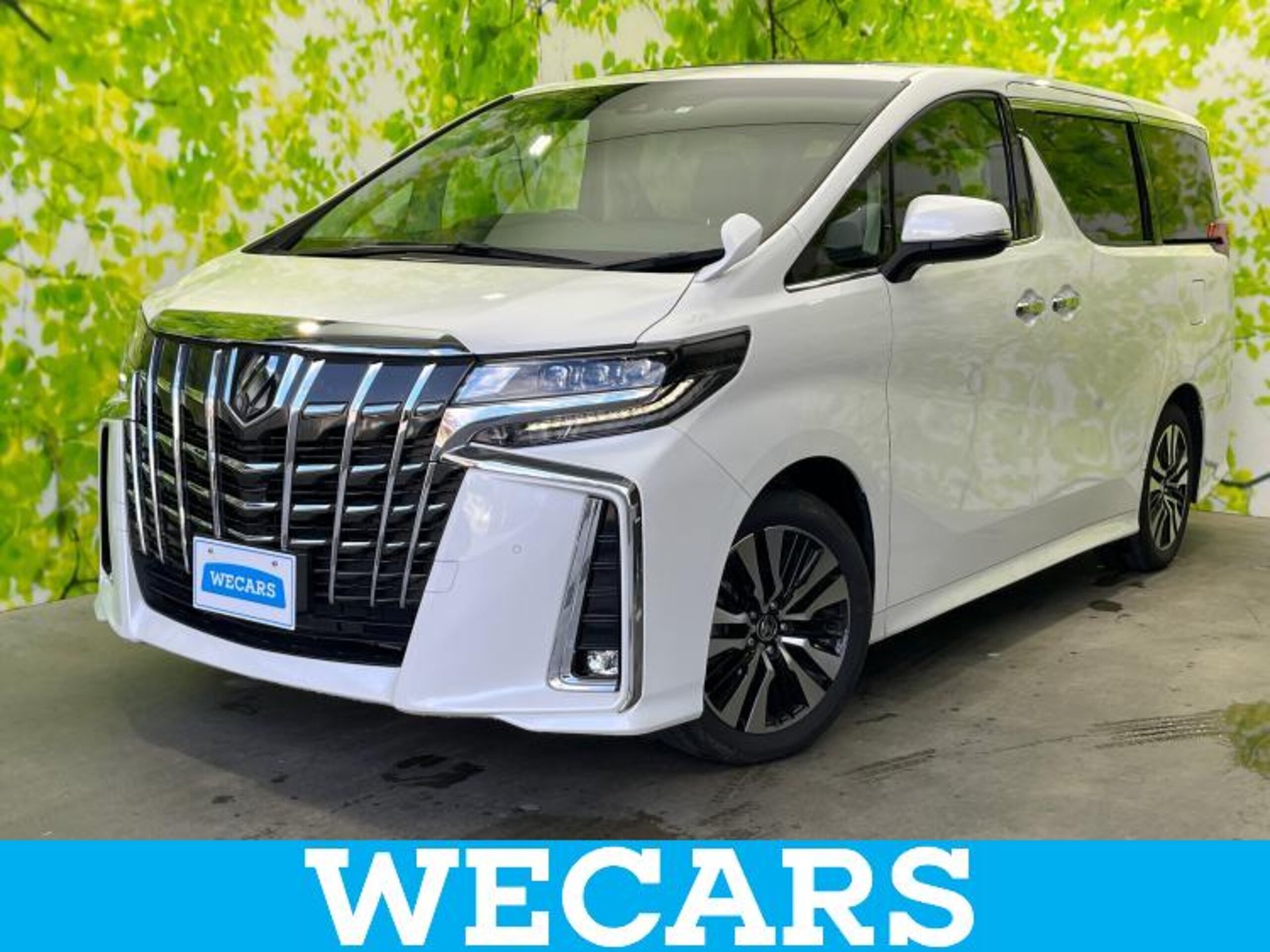 TOYOTA ALPHARD - View 1