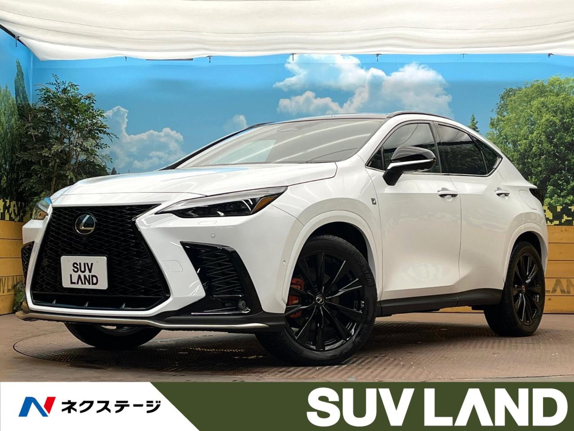 LEXUS NX - View 1