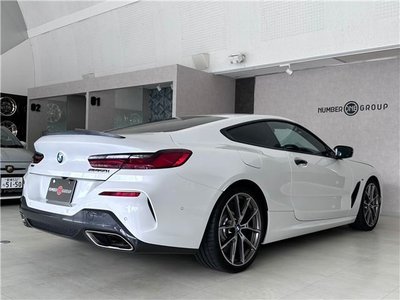 2019 BMW 8 SERIES — миниатюра 28