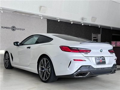 2019 BMW 8 SERIES — миниатюра 38
