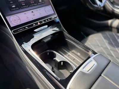 2021 Mercedes-BENZ S-CLASS 缩略图 30