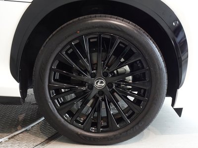 2023 Lexus RZ — миниатюра 21