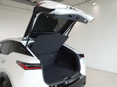 2023 Lexus RZ — миниатюра 22