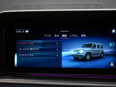 2025 Mercedes-BENZ G-CLASS thumbnail 32