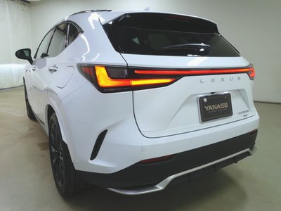 LEXUS NX - 6