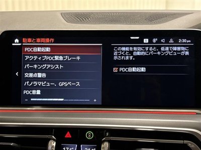 2021 BMW X5 thumbnail 20