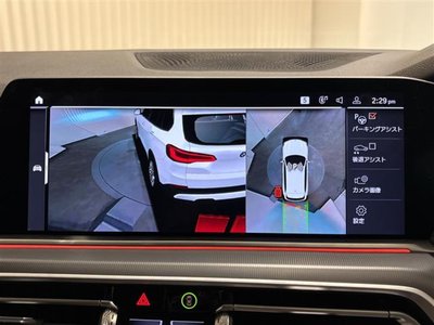 2021 BMW X5 thumbnail 19