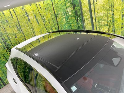 2023 Lexus NX thumbnail 69