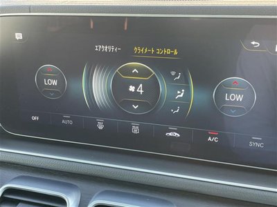 2021 Mercedes-BENZ GLE 缩略图 18