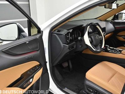 2024 Lexus NX 缩略图 11