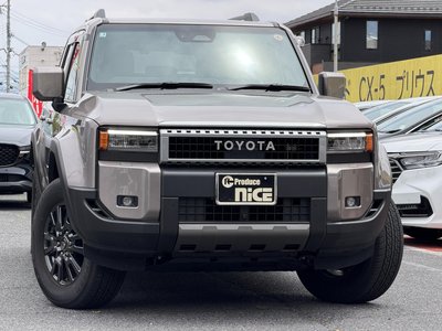 TOYOTA LAND CRUISER 250 - 6