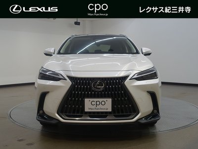2023 Lexus NX 照片 5