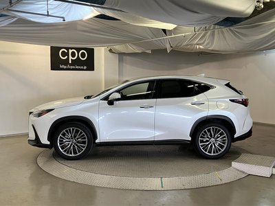 LEXUS NX - 6
