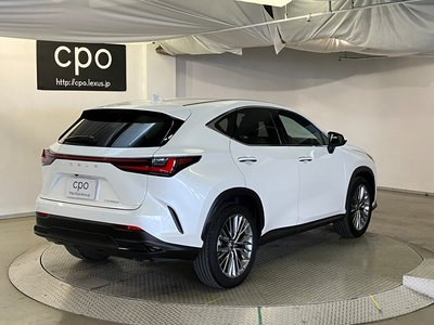 LEXUS NX - 8