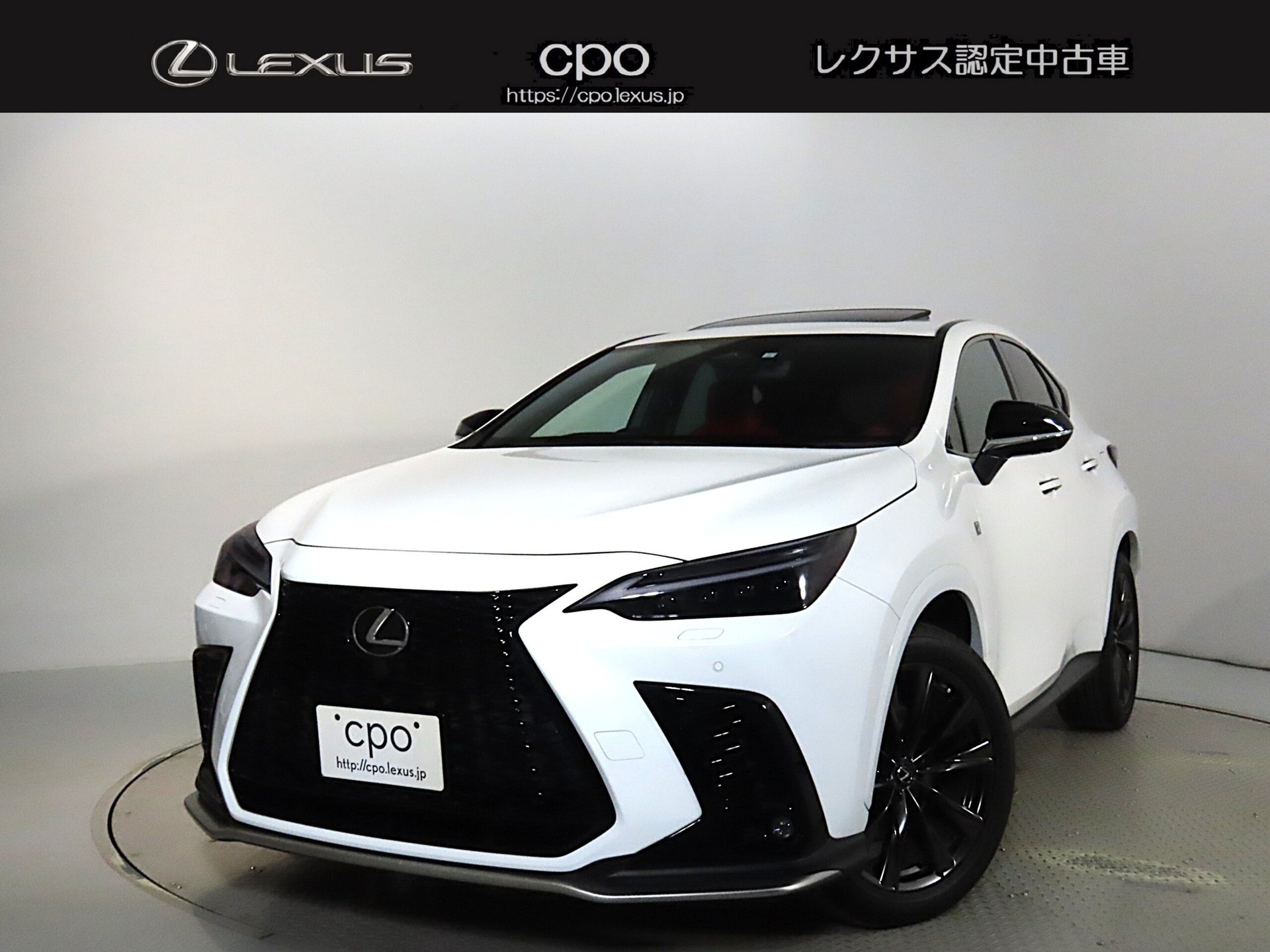 LEXUS NX - View 1