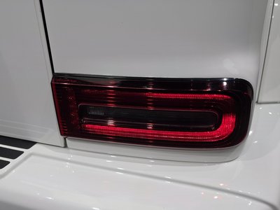 2021 Mercedes-BENZ G-CLASS 照片 10