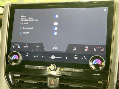2024 TOYOTA ALPHARD thumbnail 65