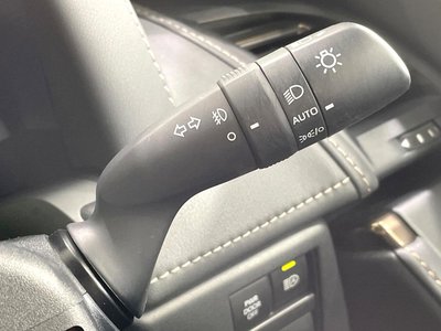 2024 TOYOTA ALPHARD thumbnail 61