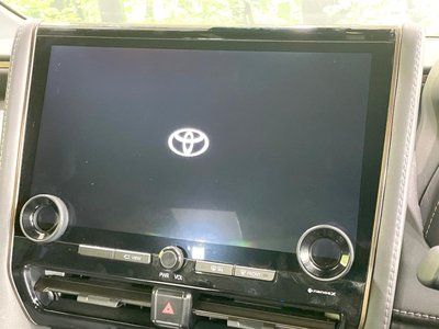 2024 TOYOTA ALPHARD — фото 4