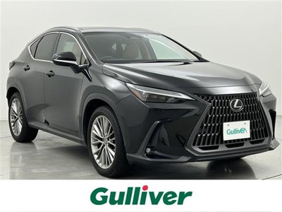LEXUS NX - 1