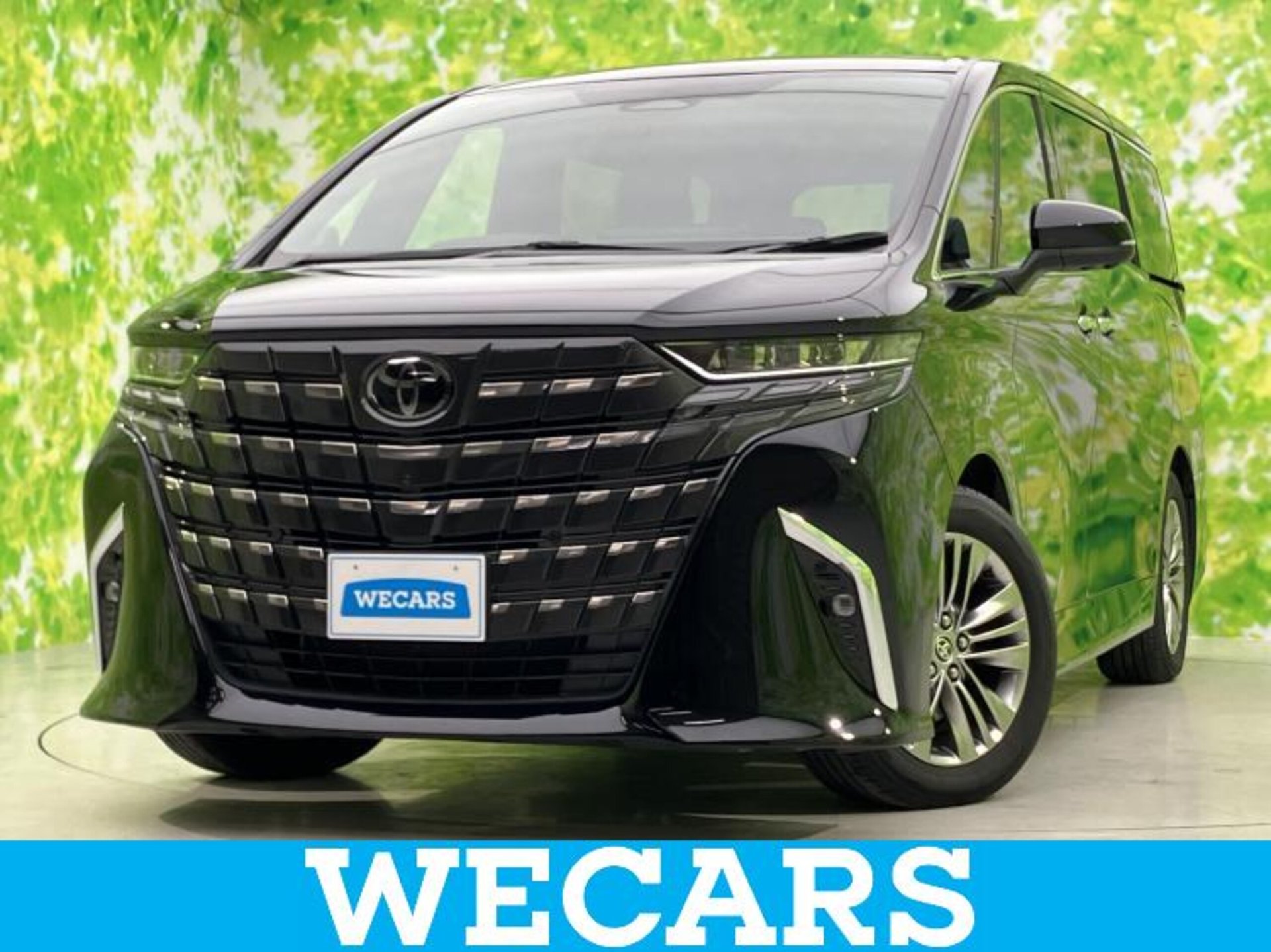 TOYOTA ALPHARD - View 1